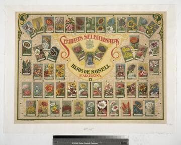 Semillas seleccionadas : Hijos de Nonell Barcelona