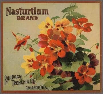 Nasturtium Brand