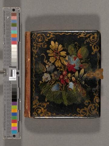 Portrait of a baby [Lathrop family]