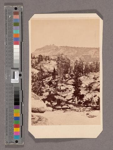 Castle Peak from Grant's Peak