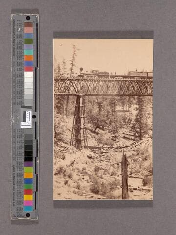 Long Ravine Bridge from below, 120 feet high
