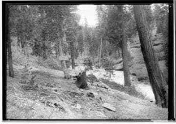 Big Creek, Huntington-Pitman-Shaver Diversion