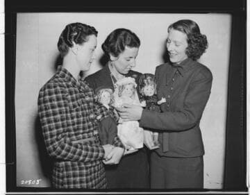 D2.3 - Displays, Window - Edison Christmas doll dressing contest