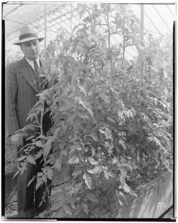 N1 - Nurseries & Soil Heating