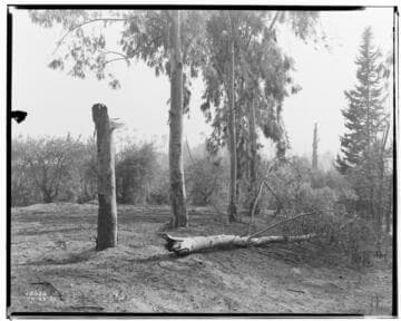 Eagle-Bell Transmission Line - Forest Fire above Altadena
