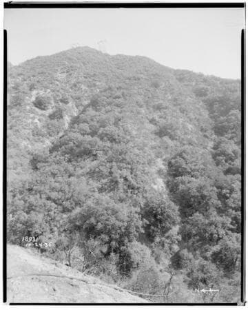 Eagle-Bell Transmission Line - Forest Fire above Altadena