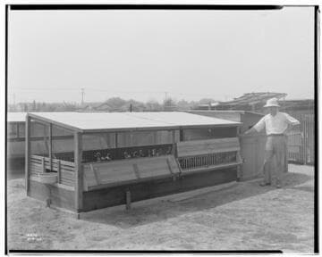 P2 - Poultry - Poultry ranch