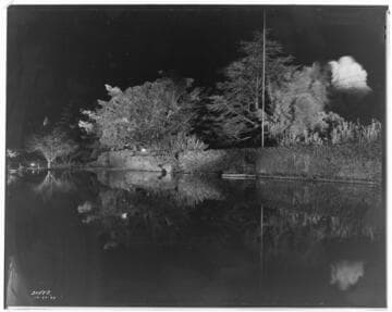 L1.1 - Lighting, misc. - Christmas lighting