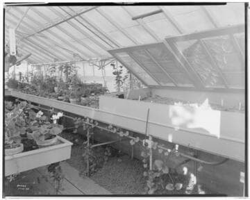 N1 - Nurseries & Soil Heating - Tyng Nursery