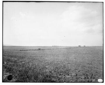 Southern California Views