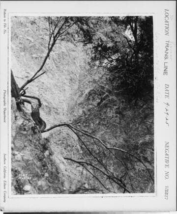 Vincent Transmission line