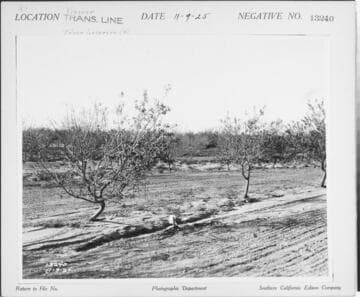 Vincent Transmission line