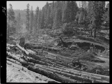 Big Creek - Mammoth Pool - Daulton Creek access road construction