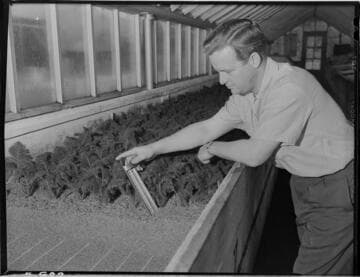 Soil heating