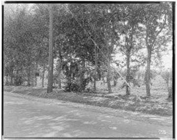 A1.2 - Accidents - Scene of accident