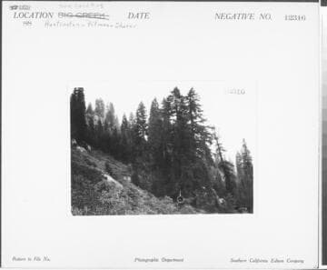 Big Creek, Huntington-Pitman-Shaver Diversion