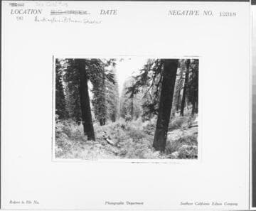 Big Creek, Huntington-Pitman-Shaver Diversion