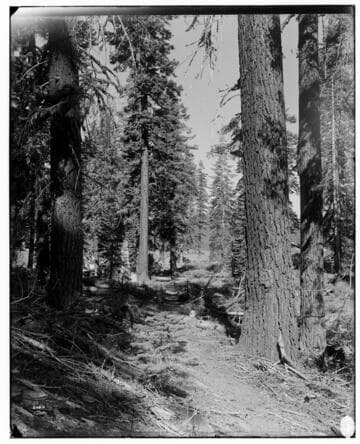 Big Creek Huntington Lake Dams