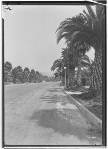 L1.2 - Lighting, streets