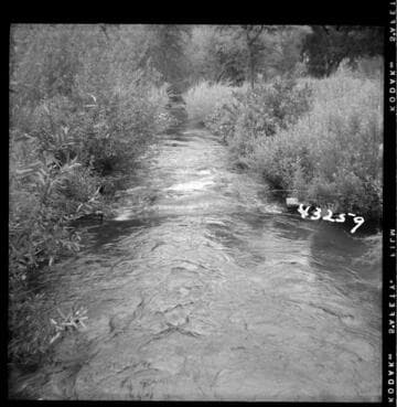 Kaweah #2 - Gauging Station #2 Powerhouse Tailrace looking downstream from bridge. Control is at center of picture