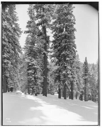 Big Creek Scenery - Snow pictures