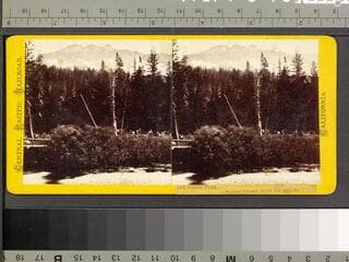Go to image 1.