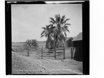 On the road west of Sepulveda House
