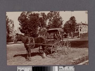 Woman driving horse-drawn carriage on dirt road with oil wells in view, Los Angeles, California