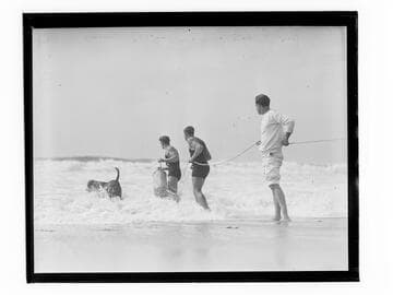 Jack Donovan, lifeguards, and dog training on beach, Santa Monica, California