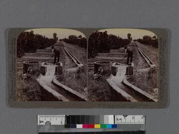 Irrigating an orange grove, Riverside, California