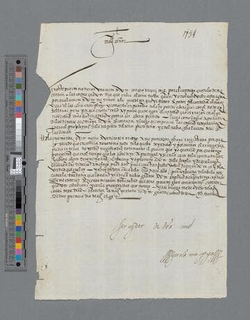 Gerónimo Mejia letter to Pedro de la Gasca, Bishop