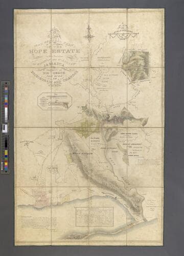 A New and General Plan of the Hope Estate in the Parishes of Kingston and St. Andrew, Jamaica, the Property of His Grace The Duke of Buckingham and Chandos. / Surveyed in the Year 1826 by Edwd. McGeachy