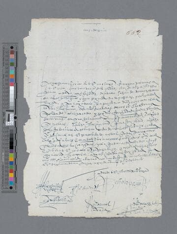 Arequipa. Cabildo letter to Gonzalo Pizarro