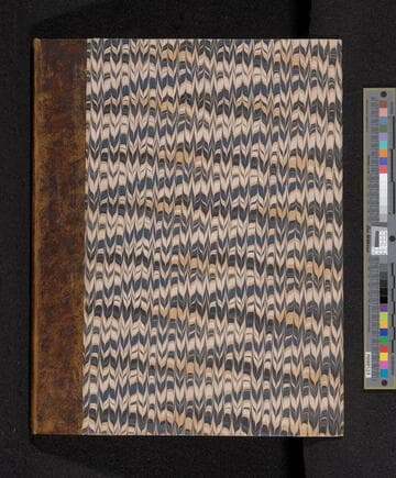 Strata identified by organized fossils : containing prints on colored paper of the most characteristic specimens in each stratum