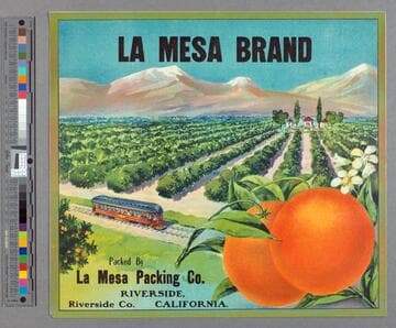 La Mesa Brand