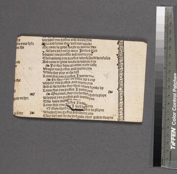 Whippet you prestes and tourne you