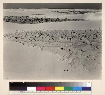 White Sands, New Mexico