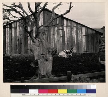 -Near Pismo Beach on '101