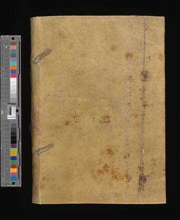 Arte mexicana / compuesta por el padre Antonio del Rincon de la compañia de Iesus. Dirigido al illustrissimo y reuerendissimo S. don Diego Romano Obispo de Tlaxcallan, y del consejo de su Magestad. &c