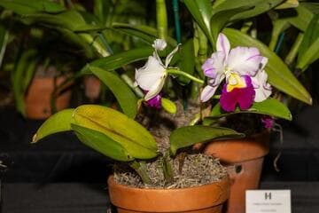 Go to image 3.