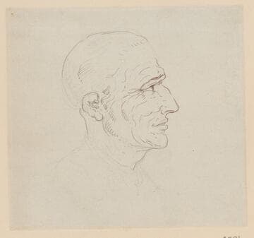 Head of a Man