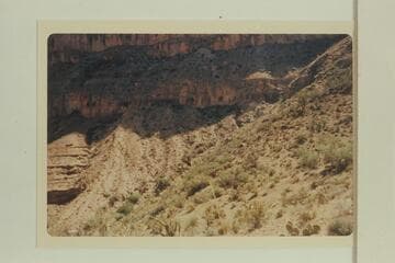 Gully above Ervin Spring