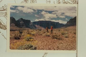 Down river from the inner platform near Mile 224, right bank