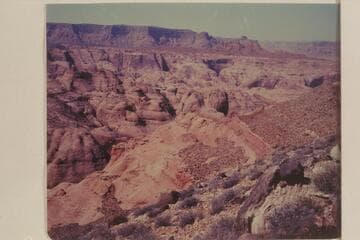 Looking down into Black Water Creek from the side of 5014
