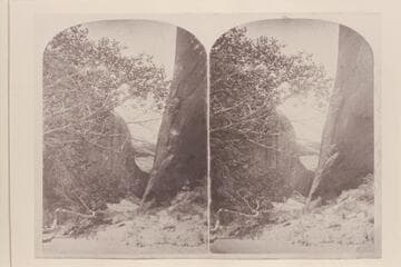"Views on the Colorado River": Glen Canon Series, no. 153, Side Gulch.  View looking into short box canyon at mile 132.35, LB