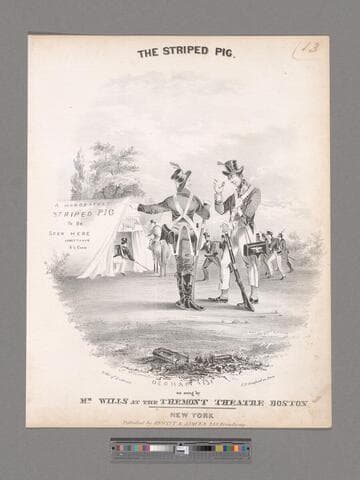 The striped pig / as sung by Mr. Wills at the Tremont Theatre Boston