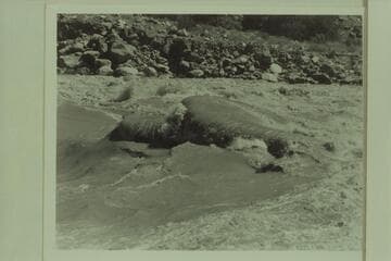 Wave at head of Lava Falls
