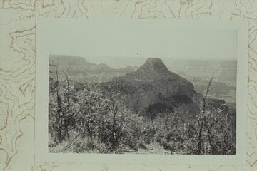 Dragons Head from The Dragon