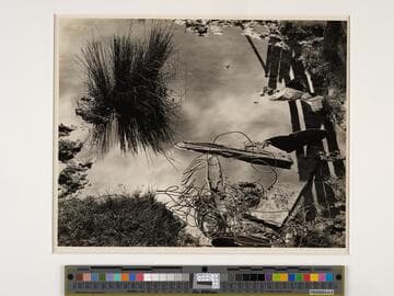 At Meyer's Ranch, Yosemite