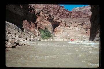 Below Vasey's Paradise